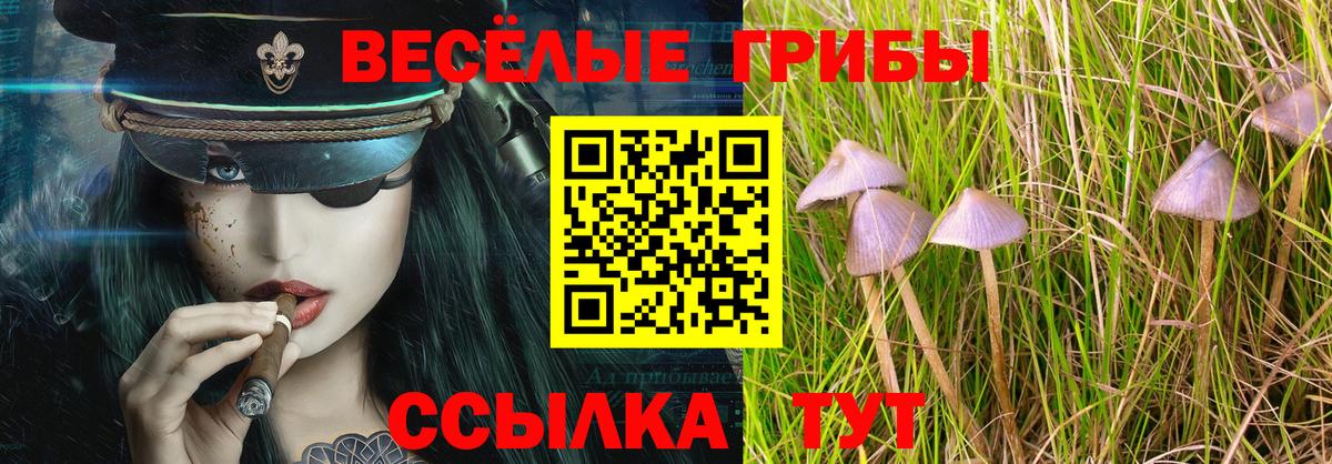 Псилоцибиновые грибы Cubensis  что такое   Гуково  Вход с VPN 