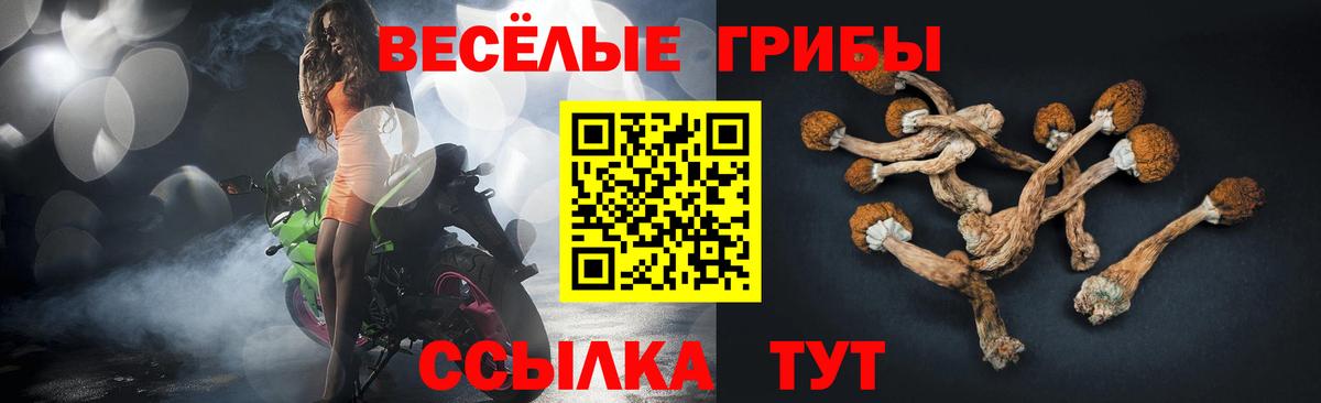 Галлюциногенные грибы Cubensis Гуково